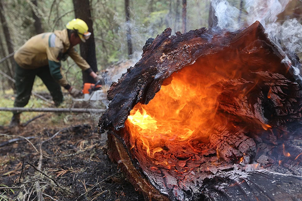 Десантник-пожарный федеральной Авиалесоохраны тушит лес в республике Тыва. Фото: : Пресс-служба «Авиалесоохраны»