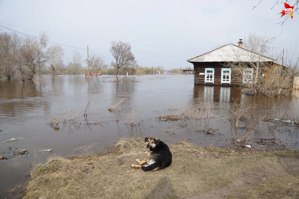 Урал накрыл самый мощный паводок за последние полвека