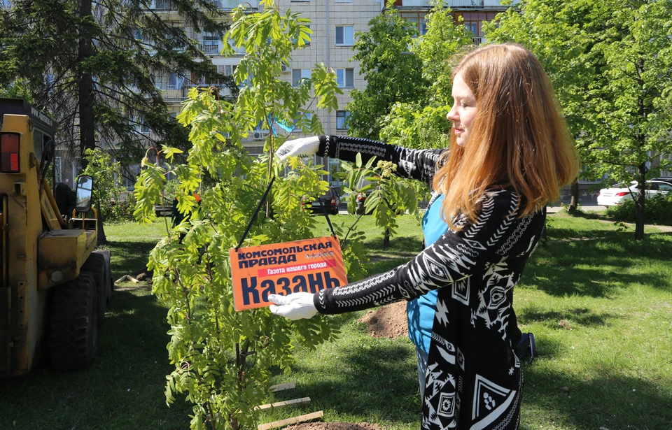 Табличка украшает дерево, посаженное редакцией "Комсомольской правды"