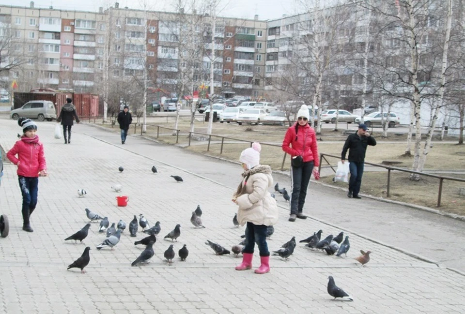 В нашем доме на карнизе храбрый