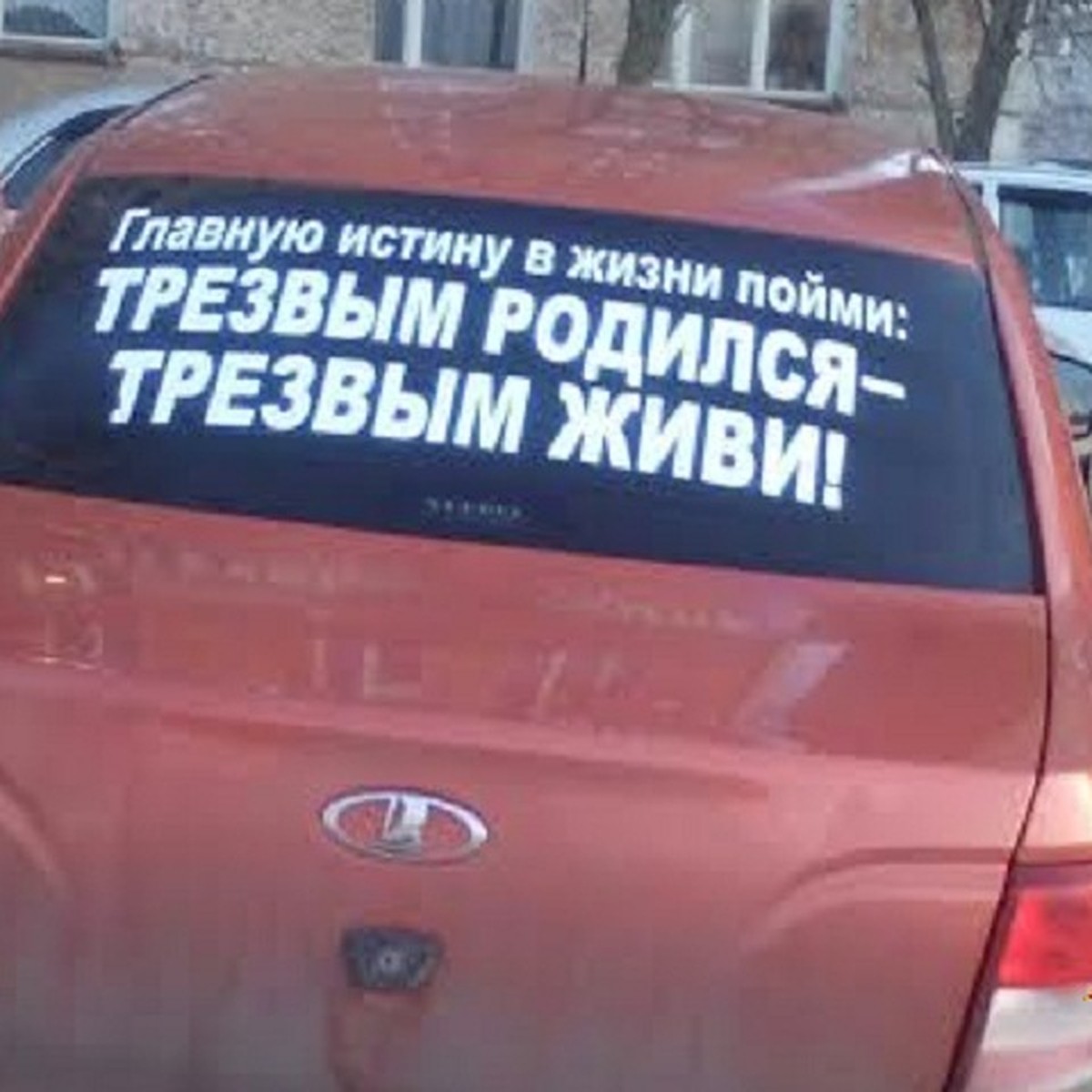 Не прижимайся, я стесняюсь»: смешные наклейки на автомобилях ижевчан - KP.RU