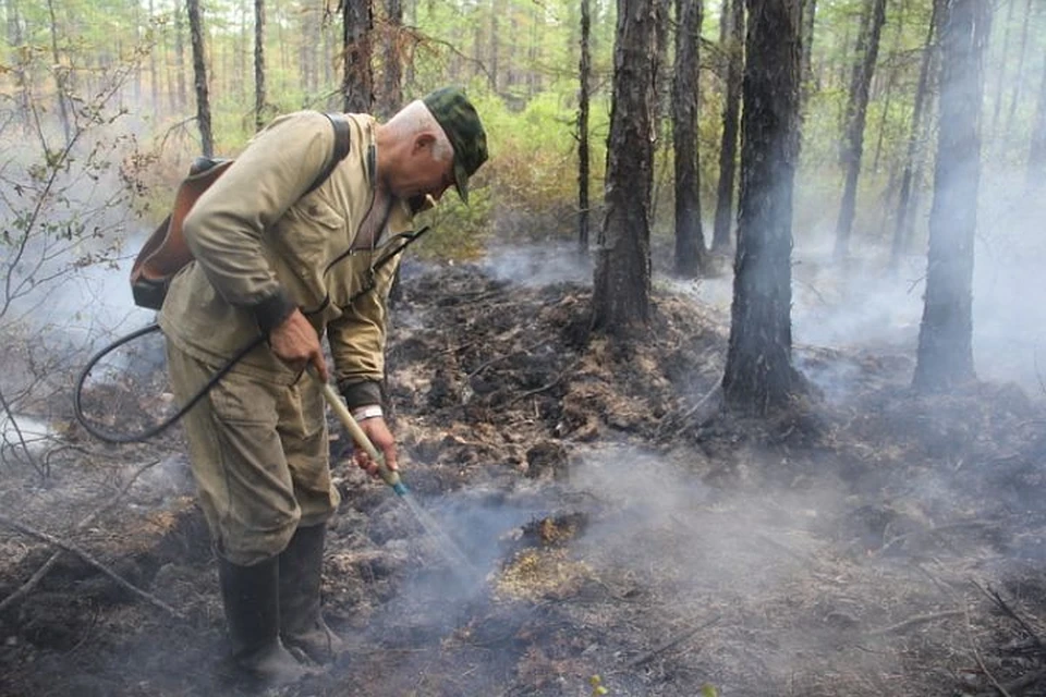 В Крыму сейчас наблюдается самый высокий уровень пожароопасности.