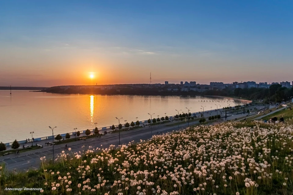 Фото: Александр Фенелонов