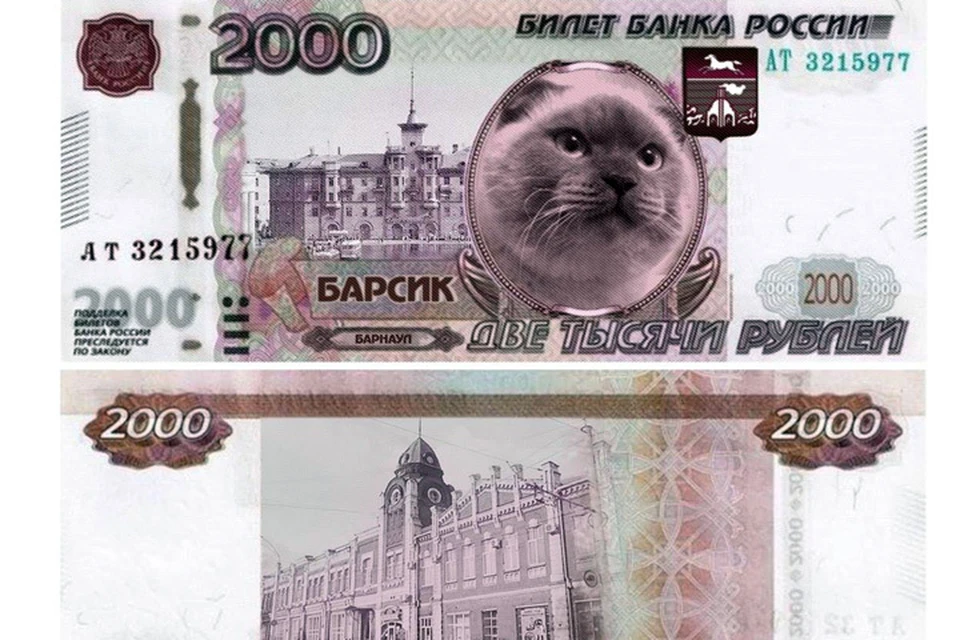 Кот Барсик хочет попасть на новые российские банкноты