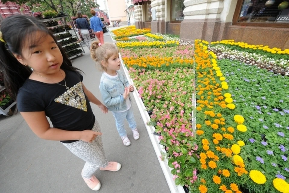 Петербург - город цветов, садов и парков.