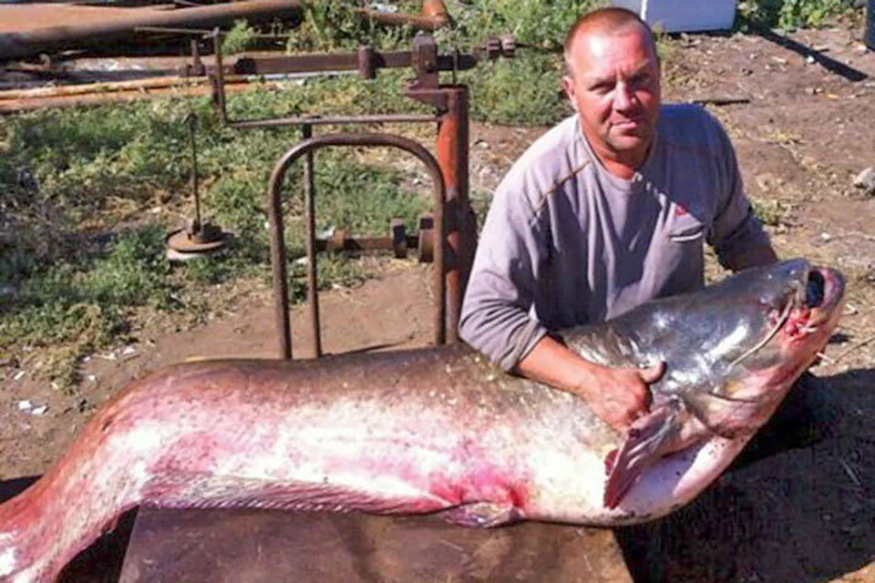 Длина рыбины 2 метра 20 см, вес почти 77 кг.