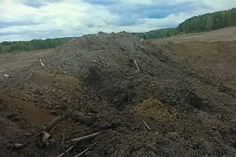 За два года золотодобытчики нанесли большой урон природе Новосибирской области. Фото: из материалов дела
