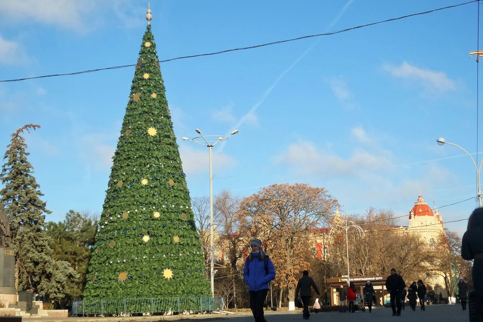 Центральная городская елка Ростова уже установлена.