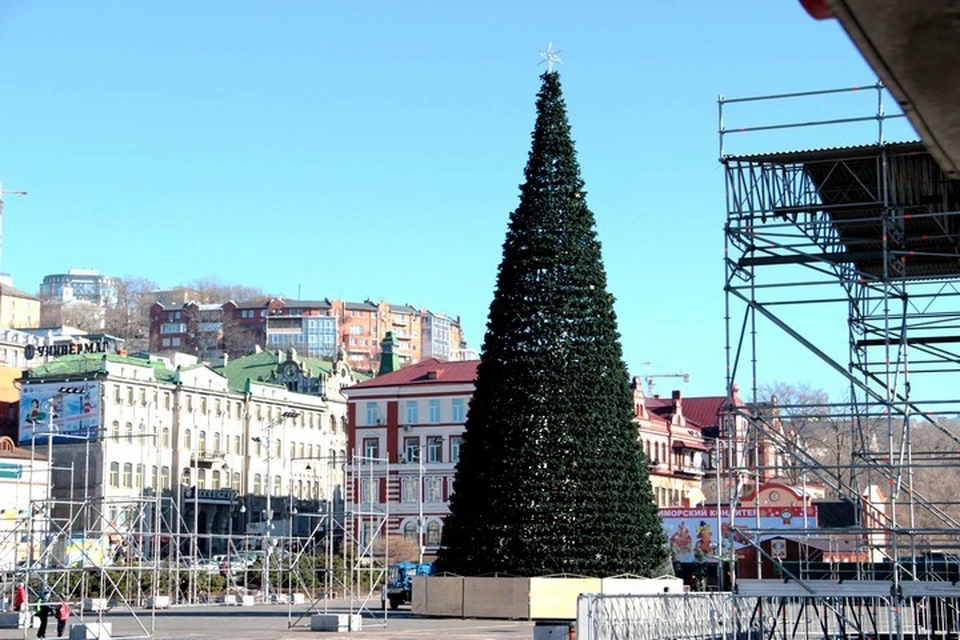 На центральной площади Владивостока начали сооружать главную елку Приморского края