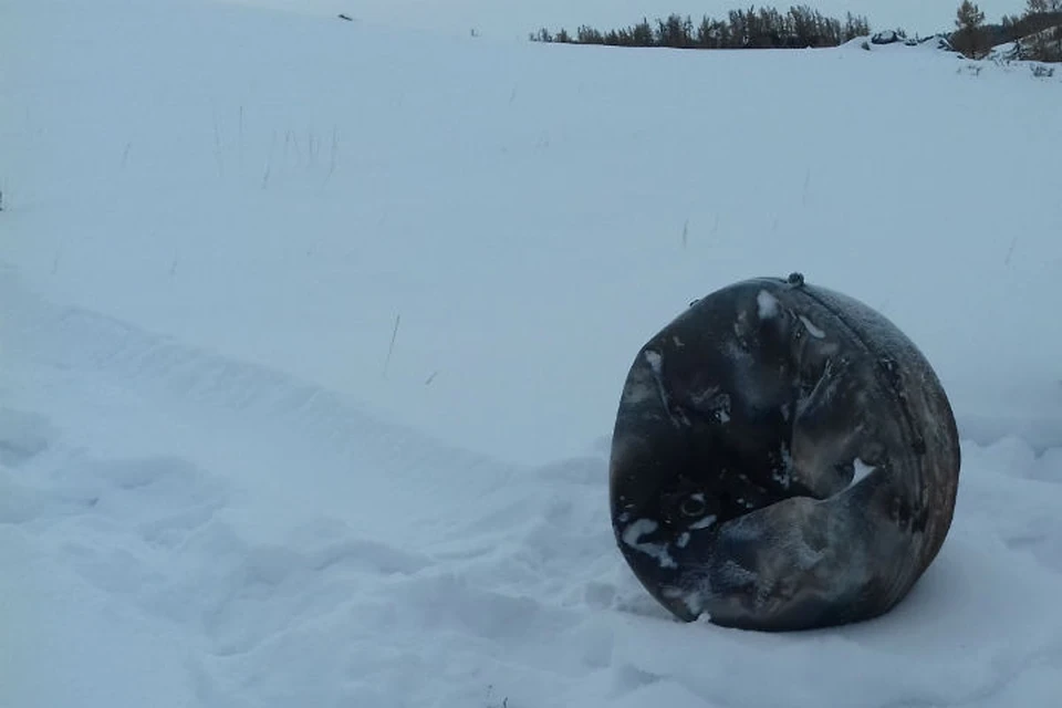 Житель Тувы обнаружил металлический предмет круглой формы Фото: Пресс-служба МЧС Тувы