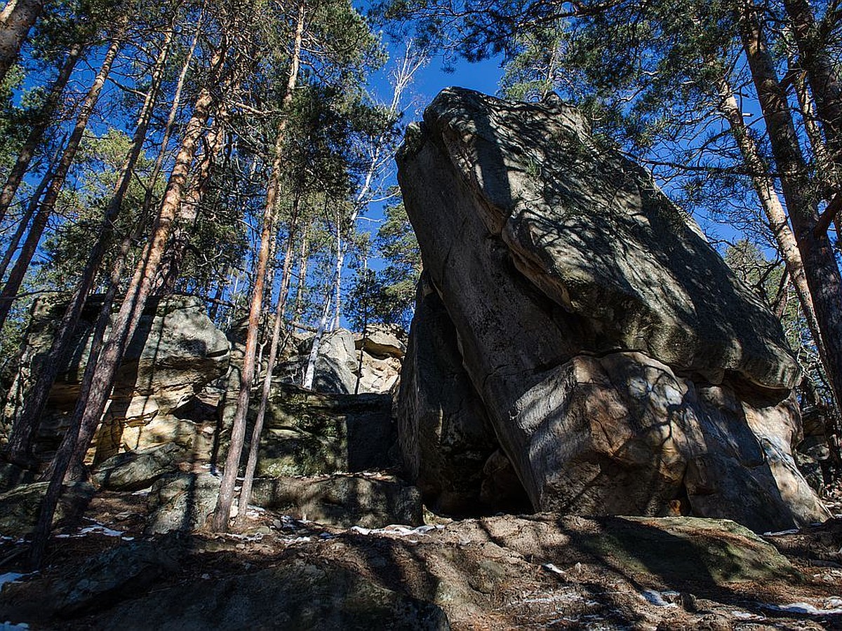 Смолькино Самарская область каменный лес