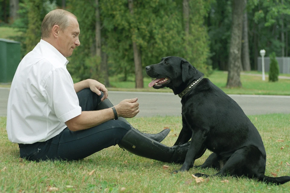 Президент России Владимир Путин с лабрадором Кони. Фото: ТАСС/ Владимир Родионов