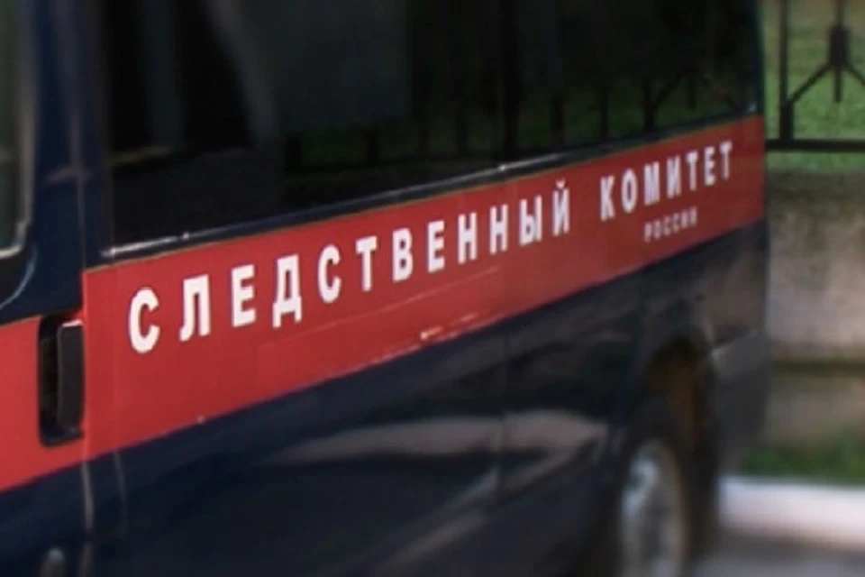 Возбуждено уголовное дело по статье "убийство". Фото: ГСУ Следственного комитета России