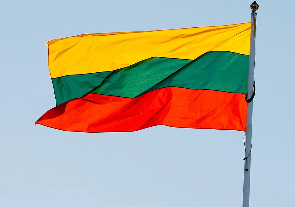 В январе власти Литвы объявили, что между Калининградской областью и Литвой построят … стену!