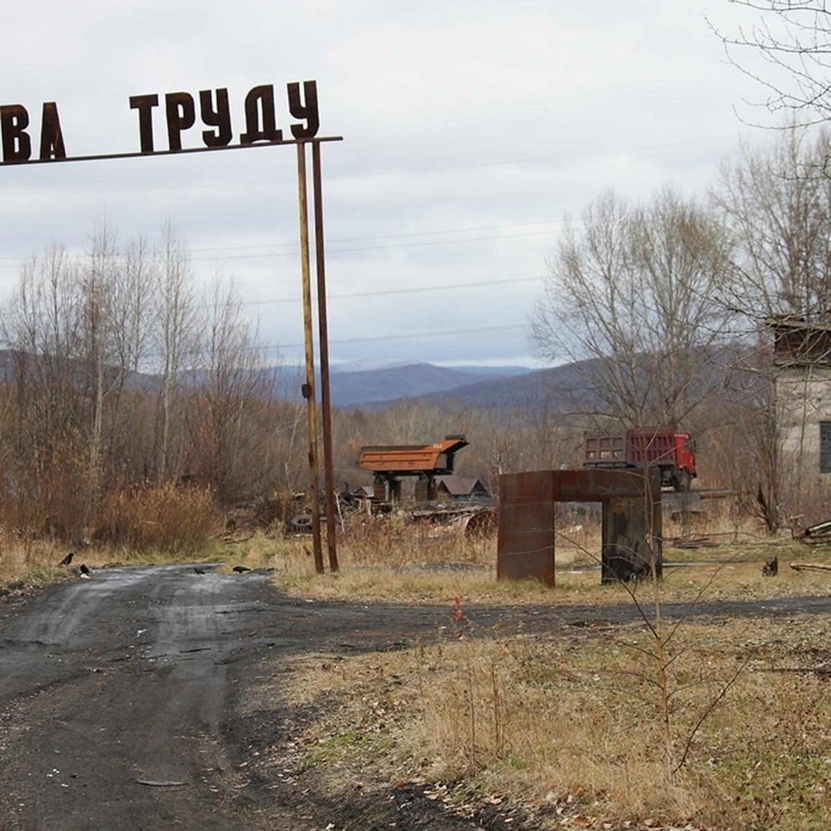 Вымрет ли амурское село? - KP.RU