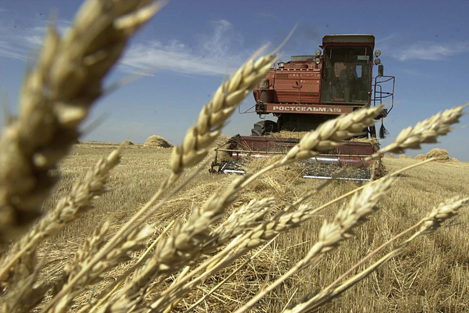Сейчас Россия бъет все рекорды по сбору зерна
