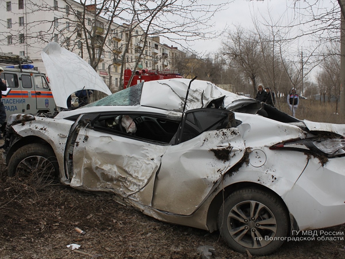 В Волгограде управляющая центром красоты SQ погибла, врезавшись в дерево на  Hyundai - KP.RU