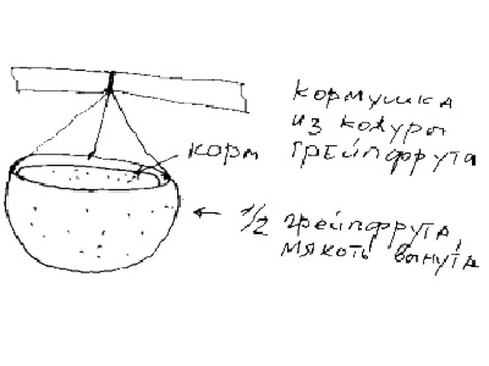 Кормушка рисунок