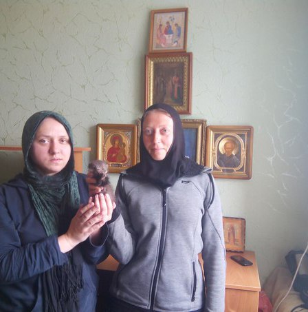 Куница Лина с монахиней, которая ее нашла