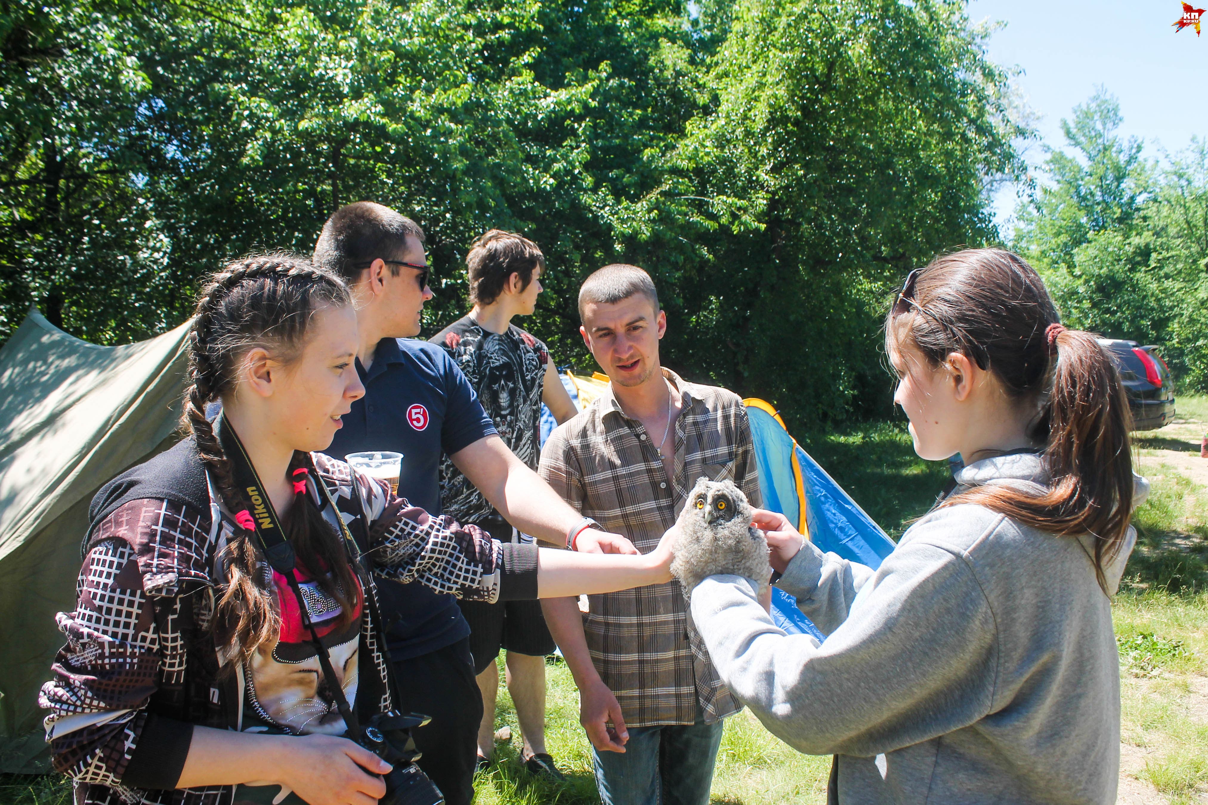 Маленькая сова стала фотомоделью после того, как её спасли