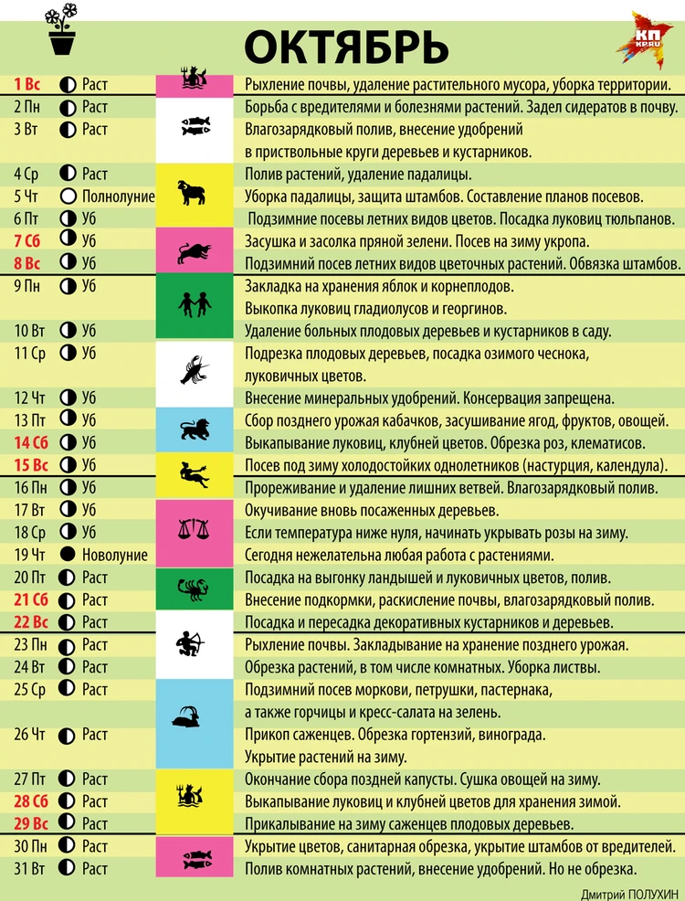 Женский лунный календарь 2017. Советы на каждый день. Малахов Г.