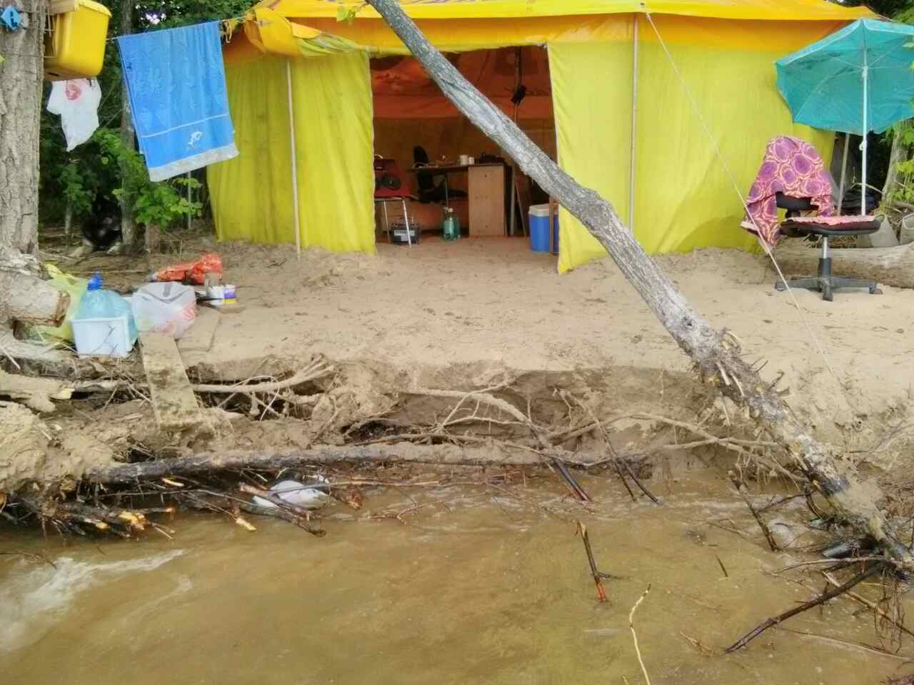 Вода настолько размыла берега, что деревья остаются без опоры и падают на палатки Фото: Дмитрий Дружинин