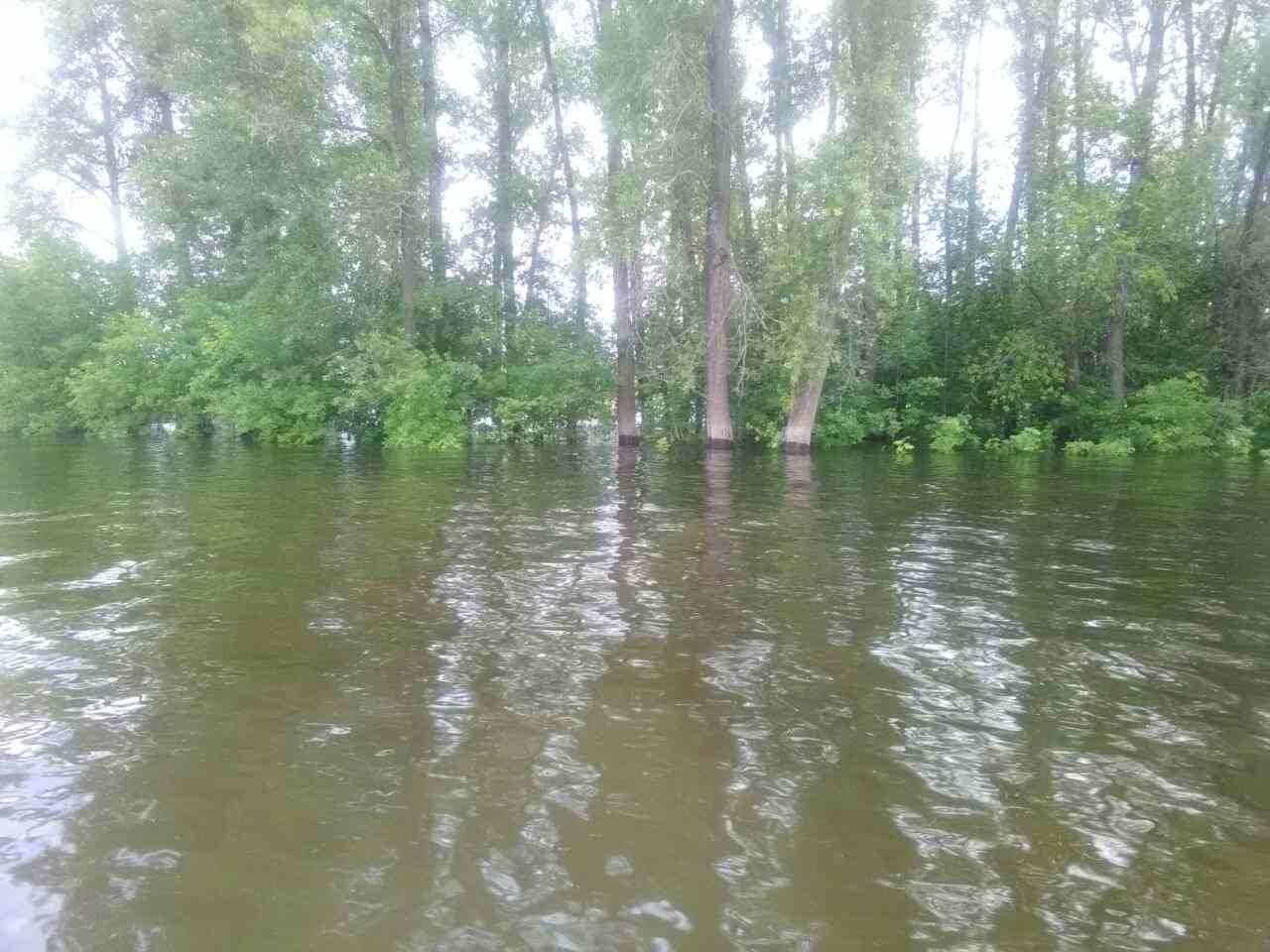 Некоторые острова и вовсе ушли под воду Фото: Дмитрий Дружинин
