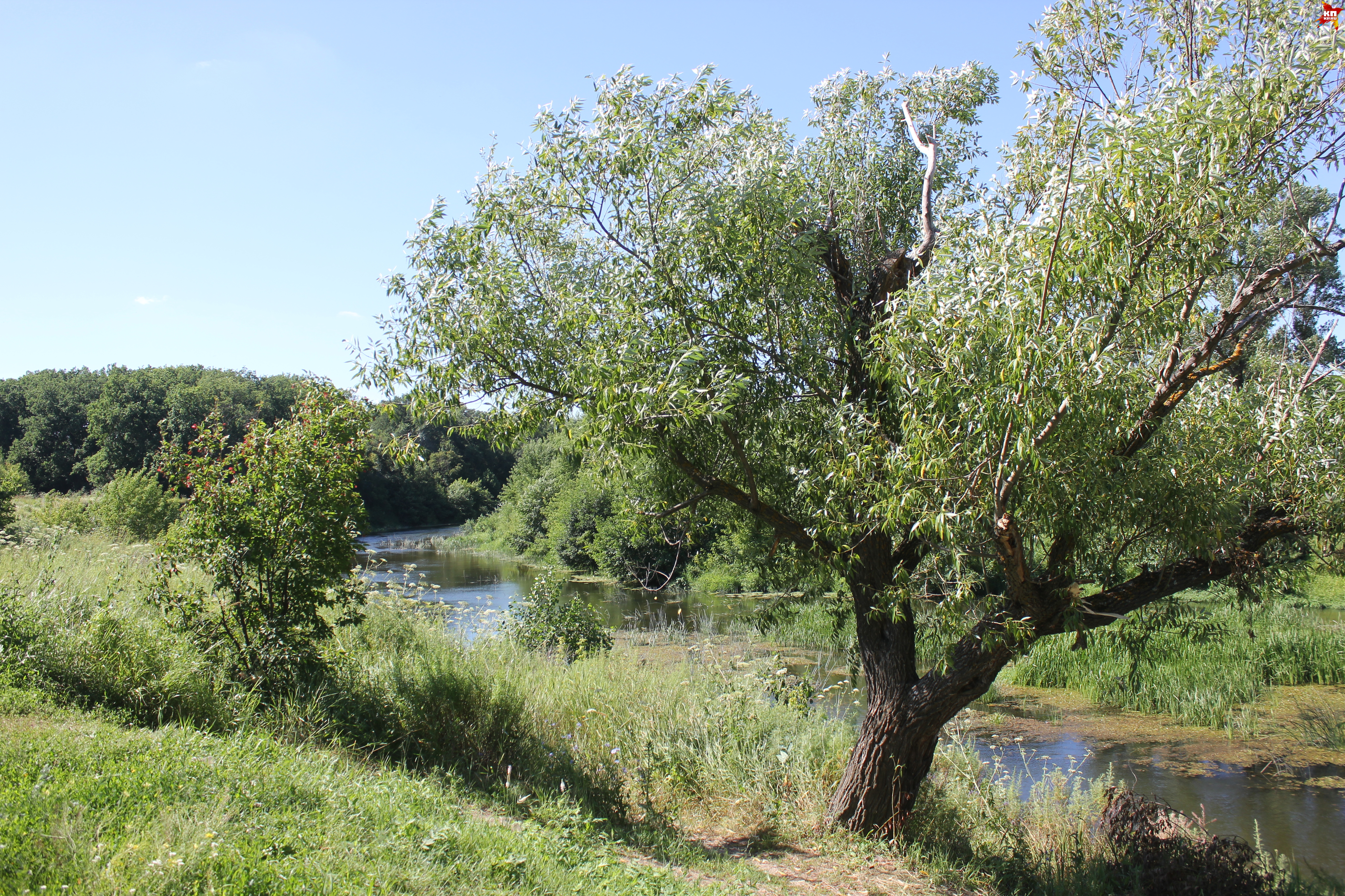 С виду речка тихая, но в некоторых местах бывают водовороты.