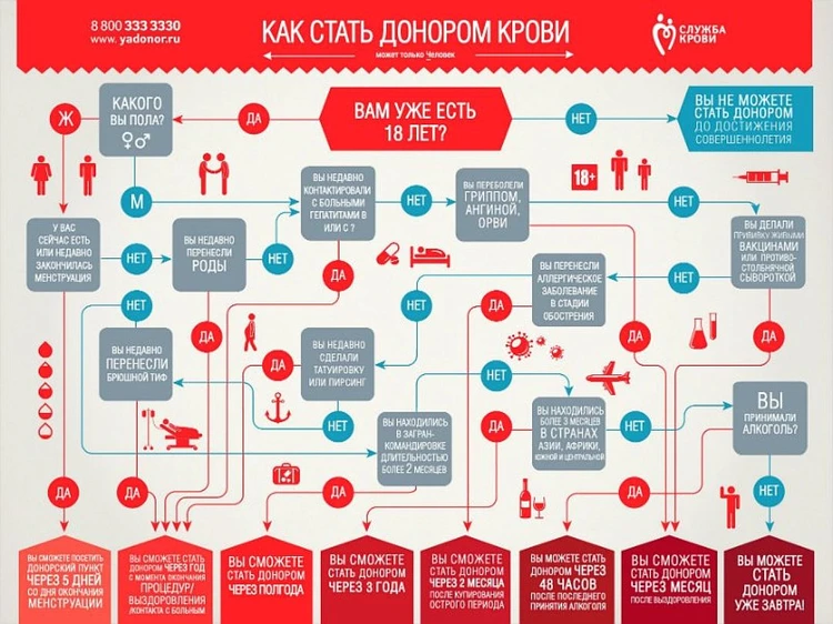 Как проходит сдача крови (донация)