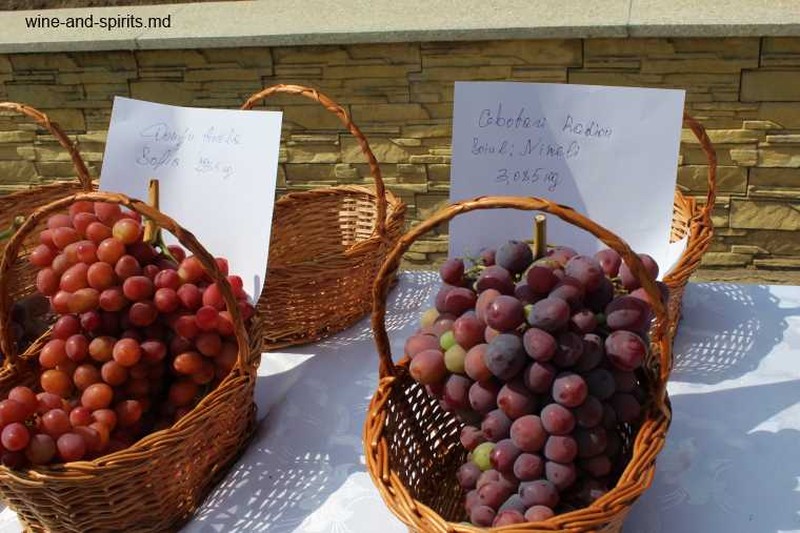 Фото: wine-and-spirits.md