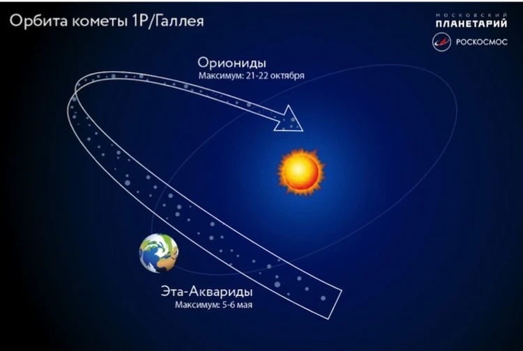 Аналингус пен сквертинг бейнеленген онлайн порно