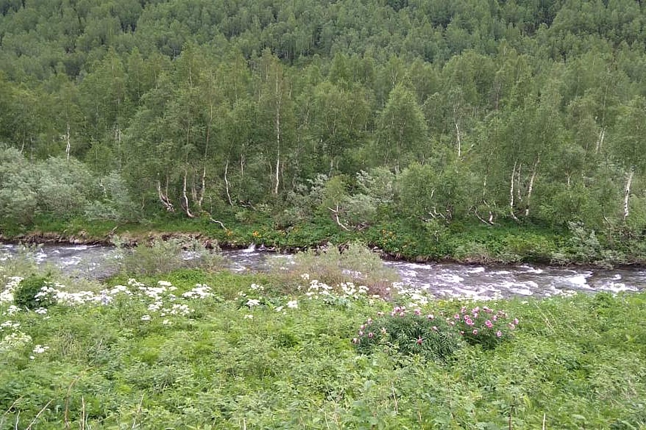 Примерно в 8 километрах машину, если она не высокопроходимая, придется оставить – дорогу начнут пересекать ручьи и неглубокие речушки.