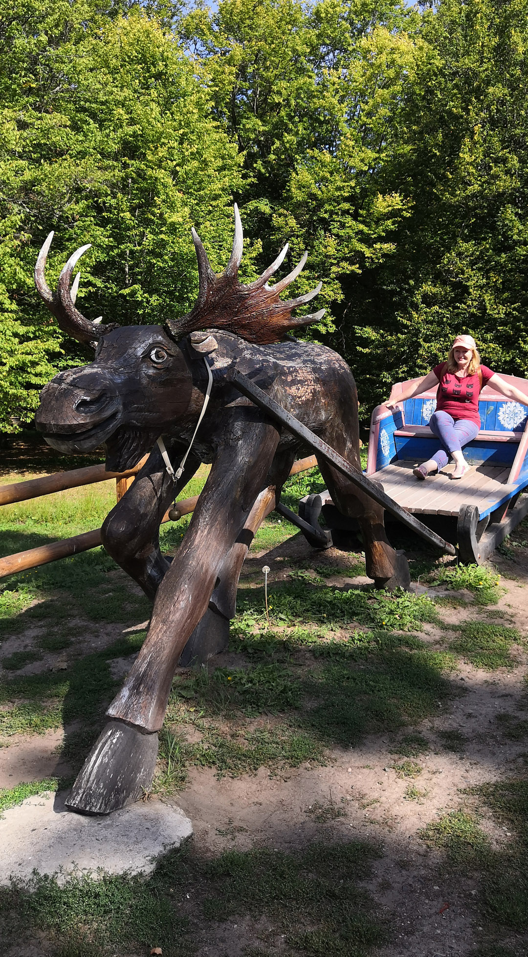 . И забавных существ из дерева увидеть.