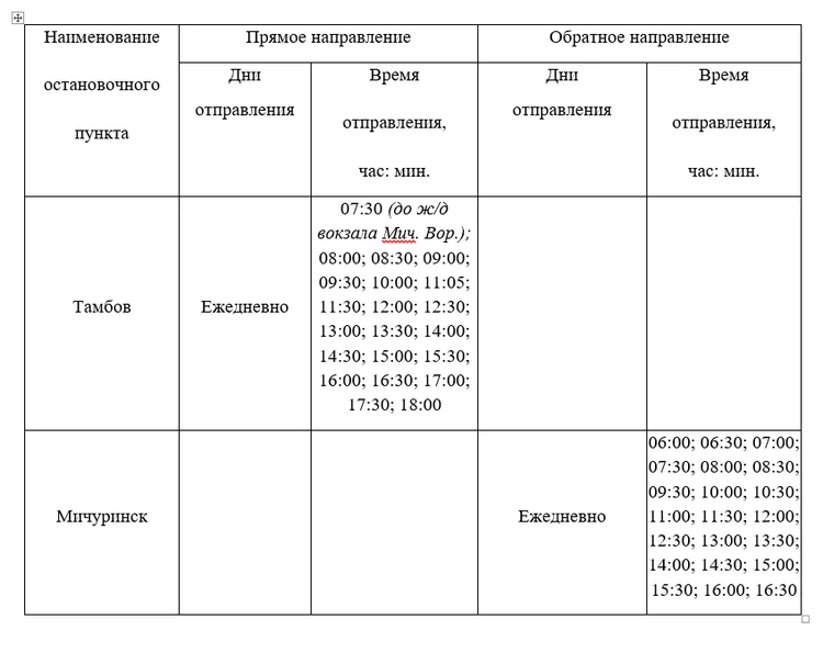 Маршрут автобуса 501 (Мичуринск - Тамбов) на карте Мичуринска