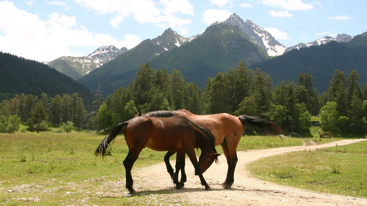 Фото: globallookpress.com