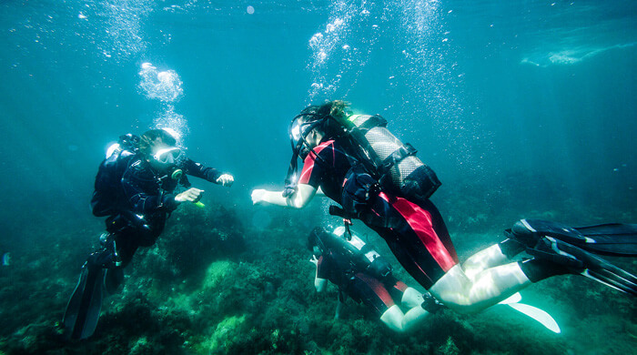 В Севастополе много дайвинг-центров. Фото: sev-diving.ru