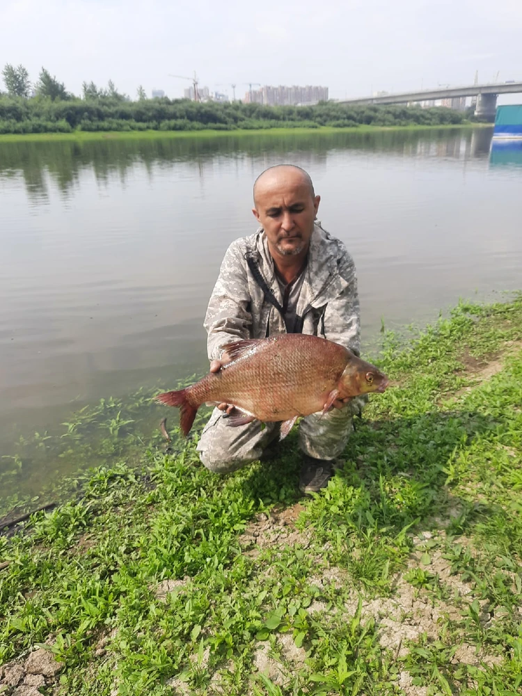 Рыбалка в Тюмени на реке Тура: лучшие места и секреты успешного улова.