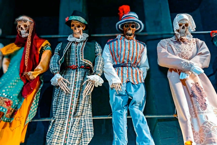 На секунду может показаться, что они смотрят на вас.