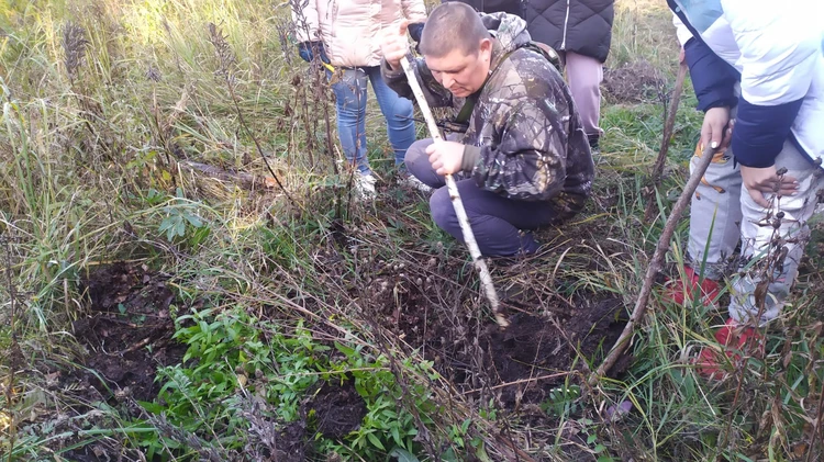 Координаты мест с рыхлой почвой передадут правоохранительным органам.