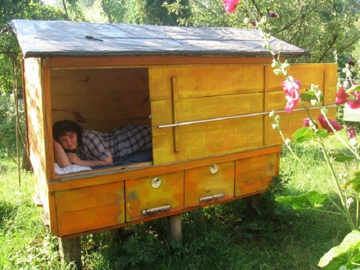 Полежать и послушать, как трудятся пчелы, говорят, очень полезно для здоровья. Фото: ecology.md