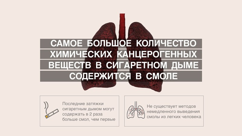 Фото: sanatate.md