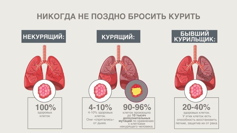 Влияние курения на здоровье и внешность — Tubakainfo