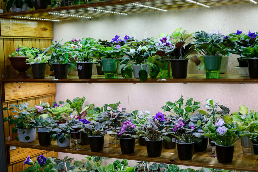 Stojan s květinami od Eleny Elkiny