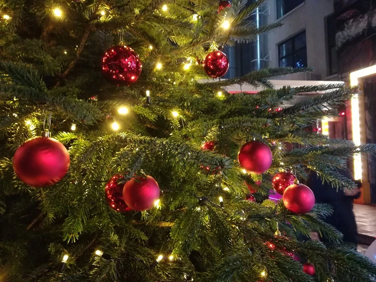 Новогодние Программы Передач 2021 2022