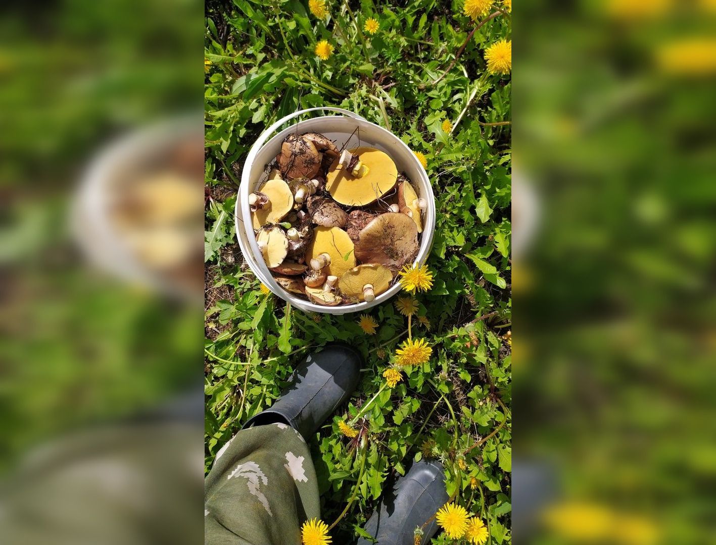 Foto: Alexey Balashov