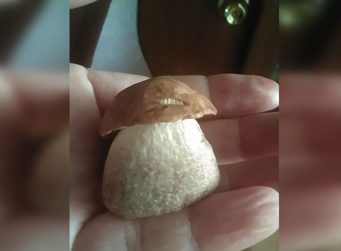 Foto: Ludmila Glavatskikh