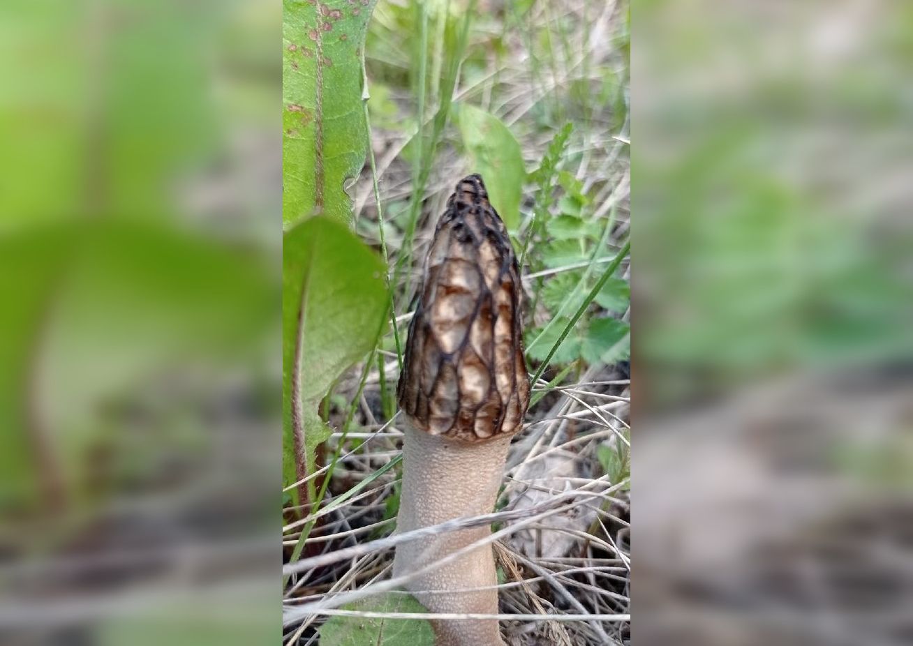 Foto: Tatyana Koltsova-Lazareva