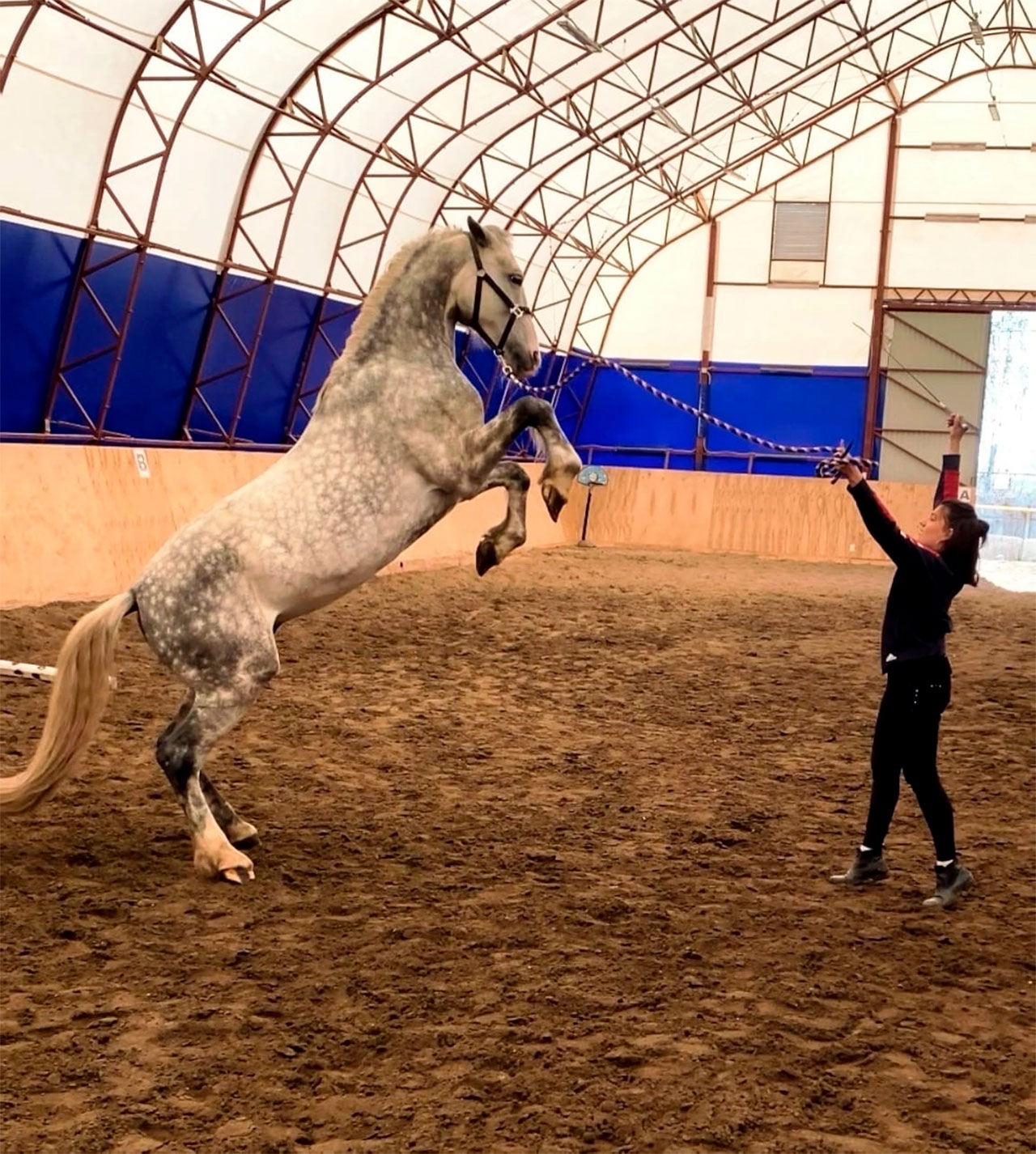 Уверенность должна быть в голосе. Фото из личного архива Алины Хвалевой