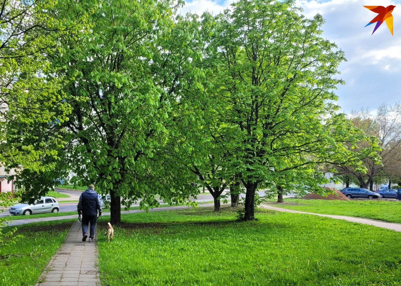 Pokud zvíře chybí, je třeba upozornit příslušné struktury. Foto: archiv, je pouze ilustrativní.