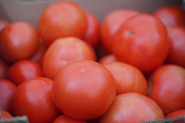 Konzervovaný produkt lze skladovat až 24 měsíců.